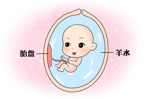 內膜薄對女性的生育功能有影響，內膜偏低可能會導致不孕